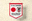 日本国家足球队队旗